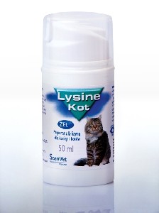 Lysine Kot