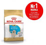 Royal Canin Golden Retriever Puppy 12kg