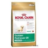 Royal Canin Golden Retriever 29 Junior - psy
