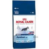 Royal Canin Maxi Junior - psy