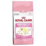 Royal Canin Babycat 34  - koty