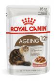 Royal Canin Ageing+12 w Sosie 85 g