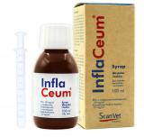 Scanvet InflaCeum 100ml