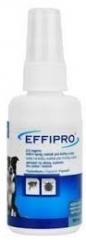 Effipro spray-psy i koty 100 ml