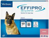 Effipro L spot-on-duże psy (20-40 kg) 4 pipety