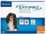 Effipro S spot-on-małe psy (2-10 kg) 4 pipety