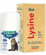Lysine Kot