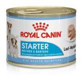 Royal Canin Starter Mousse 195 g