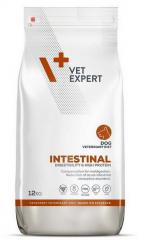 4T Veterinary Diet Dog Intestinal 12 kg