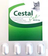 CESTAL CAT tabletka do odrobaczania KOTÓW 4szt.
