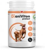 Vetoquinol Caniviton Protect opakowanie 90 tabletek