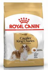 Royal Canin Cavalier King Charles Adult 1,5 kg