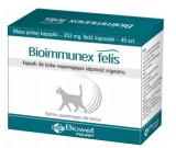 BIOWET Bioimmunex Felis 40 kapsułek