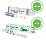 Pro-Kolin + prebiotyk- pasta dla psów i kotów 30 ml
