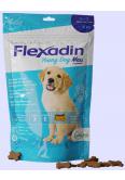Flexadin Young Dog Maxi 60 kąsków