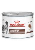 Royal Canin Recovery - psy i koty