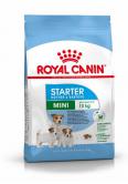 Royal Canin Mini Starter 8,5 kg