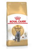 Royal Canin British Shorthair Adult 2 kg