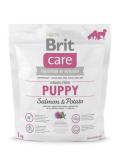 Brit Care Grain-Free Puppy Salmon&Potato1 kg
