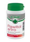 Flawitol Artro - psy