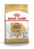 Royal Canin Labrador Retriever Adult 12kg - psy