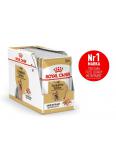 Royal Canin Yorkshire Terrier Adult 12 x 85 g