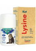 Lysine Kot