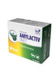 VETFOOD AMYLACTIV DIGEST 30KAPS