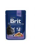 Brit Premium Cat Adult COD Fish Dorsz saszetka 100g