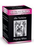 Champion witaminy dla Yorków - psy