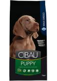 Farmina Cibau Puppy Maxi 12 kg