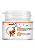Vetoquinol Caniviton Protect opakowanie 30 tabletek