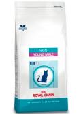 Royal Canin Skin Young Male 3,5 kg