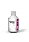 Hepatiale Forte Liquid 250 ml