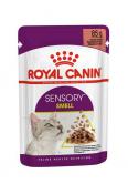 Royal Canin  SENSORY™ SMELL kawałki w sosie 12 x 85 g
