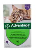 Bayer Advantage Dla Kotów o Wadze Powyżej 4 kg